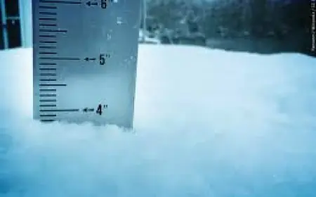 Donner Pass: Snowfall Totals for Feb. 19–20 and Grayson College’s 12th Straight Win