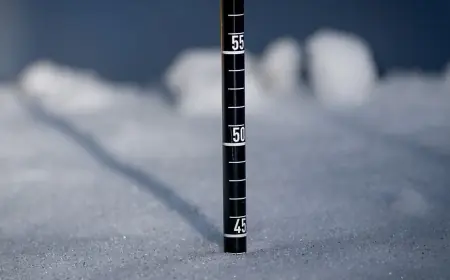 New Jersey Snowfall Totals — Blizzard of 2026: Complete Town-by-Town List