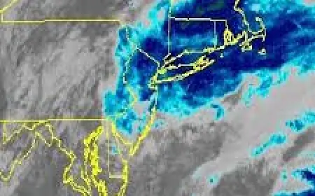 New York Blizzard Prompts City Travel Ban as Nor'easter Pummels Northeast