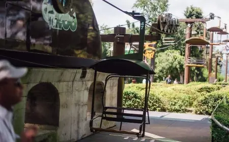 Guadalajara sheltering: Children from Nayarit and about a thousand travelers stayed at the zoo as road block violence stranded visitors