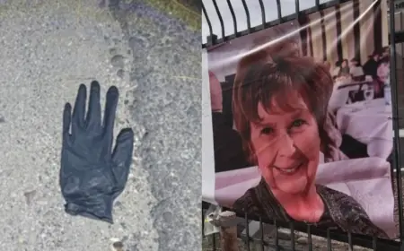 Nancy Guthrie update today: Day 23 search enters fourth week as DNA timeline stretches and volunteers turn up new items