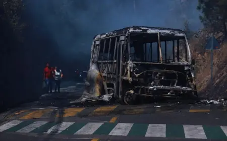 What Is Going On in Mexico Right Now: Violence Spike After Cartel Kingpin Death, Travel Disruptions, Power-Grid Strain, and Markets Watching the Peso