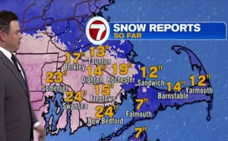 National Grid Mentioned as Feb. 23 Blizzard Drops More Than Two Feet in Parts of Massachusetts