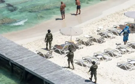 Playa del Carmen News: Cartel Violence Erupts, Situation Now Returning to Normal — Full Update for Tourists