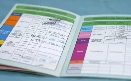 Cabo San Lucas: Is the Vaccination Card Required to Enroll Children in School? Latest on Measures and Guidance