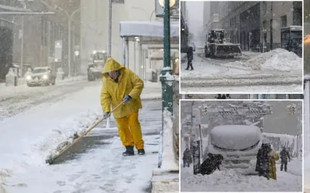 NYC Snow Totals Top 2 Feet: How Many Inches of Snow Fell and Is There School Tomorrow in NYC?