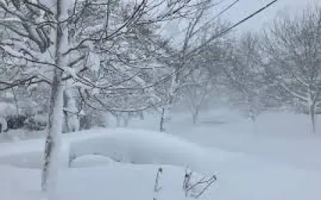 Blizzard Of 78 coverage met with site notices