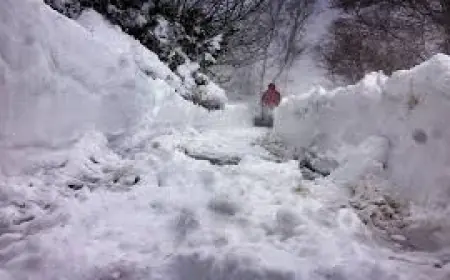 How Much Snow Did Boston Get as Mass. Schools Close Tuesday