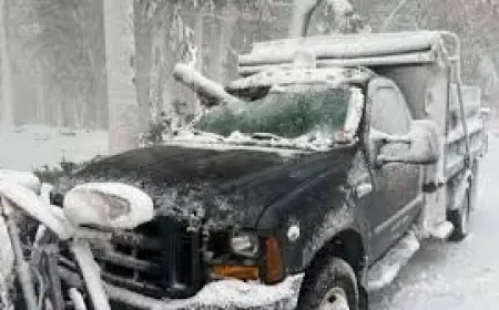 Eversource Outage Map in Focus as Blizzard Keeps Parts of Mass. Under Travel Ban and Schools Closed