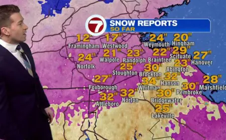 National Grid mentioned as Massachusetts endures Feb. 23 blizzard, towns report 30+ inches