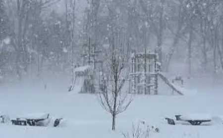 Dte Outage Map: How a Historic Blizzard Left Campus Communities and City Services Strained