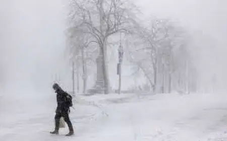 Travel Ban Massachusetts: Healey Restricts Driving as Boston Scrambles with 1,000 Workers and 900 Vehicles