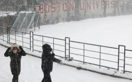 Travel Ban Massachusetts: travel ban massachusetts cited as region reels from historic blizzard