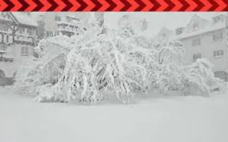 Snow Storm Weather Forecast New York: 'Near impossible' travel as Blizzard of 2026 batters the Northeast