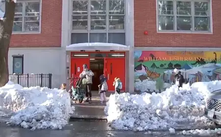 How Much Snow Did Boston Get — Residents, schools and services scramble after a record Northeast blizzard