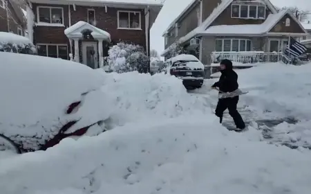 How Much Snow Did Boston Get as Northeast Dig Out From Record Blizzard
