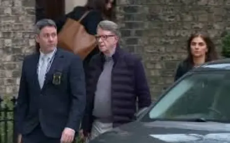 Peter Mandelson: peter mandelson released on bail after arrest on suspicion of misconduct in public office