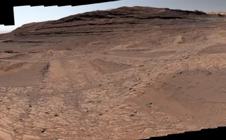 Curiosity Surveys the Boxwork Region as curiosity Captures Panorama