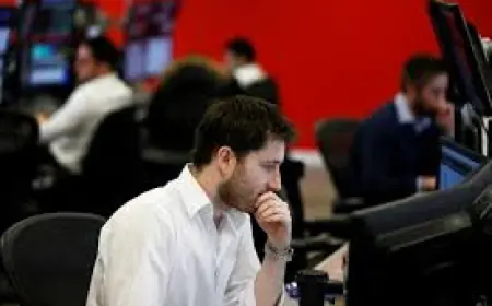 Wday Stock Draws Fresh Backing as Workday Posts Double-Digit Revenue Gains