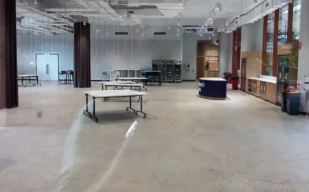 WiseTech Global Plans to Eliminate 2,000 Jobs for ‘AI Efficiency’