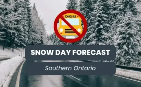 Southern Ontario Braces for February 24, 2026 Snowstorm