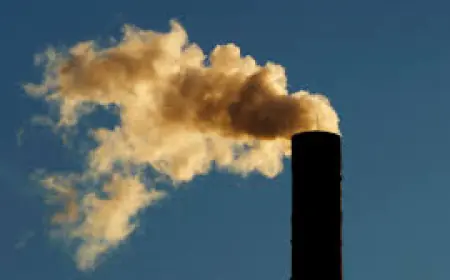 Tulsi Gabbard: Trump revokes landmark ruling that greenhouse gases endanger public health