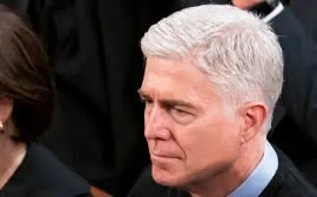 Neil Gorsuch Tariff Ruling Puts Elena Kagan at Center of a Debate Over Legislative Power