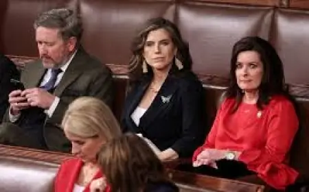 Nancy Mace and the State of the Union: Epstein Protest, Pins of Support, and a Charged Guest List