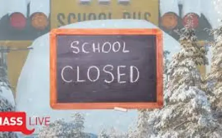 Massachusetts Blizzard Snowfall Totals and the storm’s toll