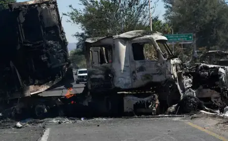 Mexico Takes Bold Risk in Capturing Cartel Leader El Mencho