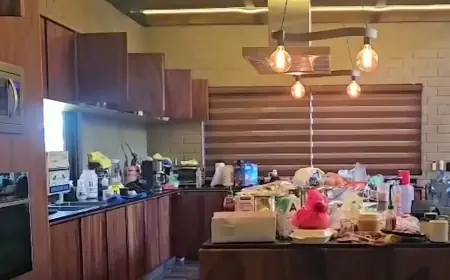 Guadalupe Moreno Carrillo: Aftermath of 'El Mencho' Death — El Tuli, Tapalpa Hideout and White House Warning