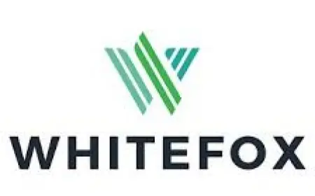 Low-carbon indoor greening helps cool, clean and cushion buildings, study finds