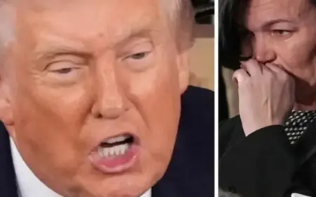 Democrats Criticized for Lack of Support