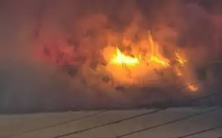 Wpxi: Crews Battle Apartment Fire on Grant Avenue in Millvale