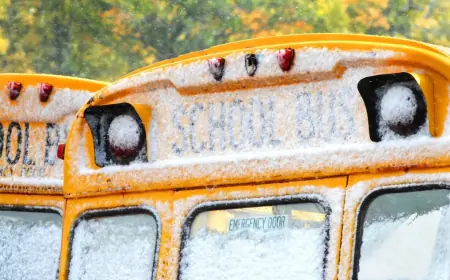 Are NYC Schools Open Today? Wednesday, February 25, 2026
