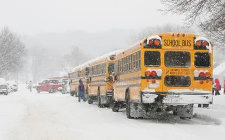 School delays today: School District of Philadelphia moves back to normal after closings and delays