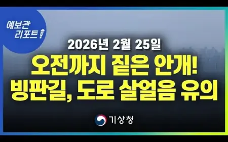 Dense Inland Fog Persists Until Morning: Caution Advised on Icy Roads