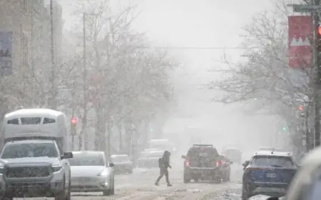 Up to 10 cm of Snow Returns to Blanket Quebec