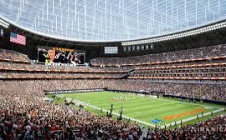 Chicago Bears: Stadium Move, NFL Combine, and Offseason Roster Moves