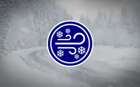 Snowfalls Up to 10 cm: Regions Bracing for Blizzard Conditions