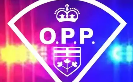 Traffic Slows Near Picton Due to Crash on Highway 49