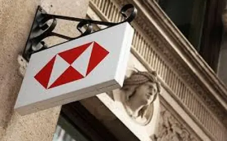 Hsbc Share Price: Why the bank’s beat, payout lift and CEO overhaul reshape the near-term targets