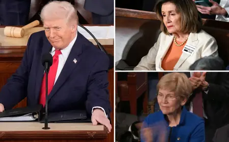 Nancy Pelosi Called Out as Trump Pushes Ban on Congressional Stock Trading — Who Will Feel It First