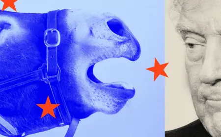 Abigail Spanberger gave Democrats’ State of the Union response — but she didn’t have the stage to herself