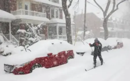 Video: Al-Anqari Explains Hilal’s Choice of Leonardo Amid Benzema’s Absence