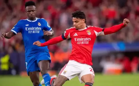 Real Madrid vs Benfica: Round of 16 Predictions and Ticket Updates