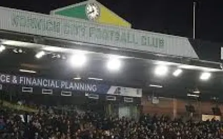 Norwich City Vs Sheffield Wednesday — norwich city vs sheffield wednesday: Canaries beat relegated Owls 2-0