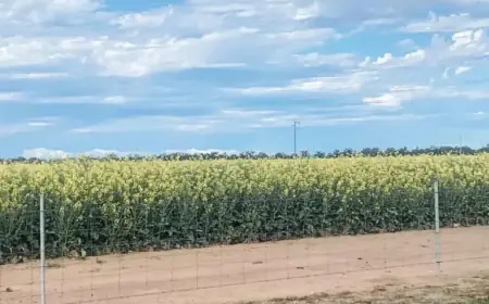 NSW Farmers Face Unexpected Tax Increase