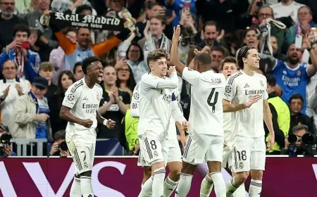 Real Madrid Vs Benfica: Vinícius Winner Sends 15-time Champions Through After Rafa Silva Shock