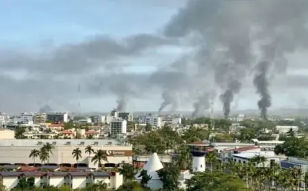 Puerto Vallarta News: What’s Driving Today’s puerto vallarta news